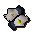 ✖